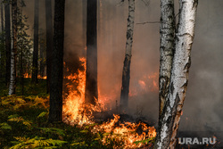 Лесные пожары парализовали движение под Екатеринбургом. Фото, видео