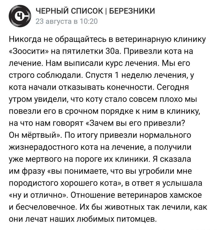 Пользователь соцсети написала, что после лечения в березниковской клинике «Зоосити» ее кот умер