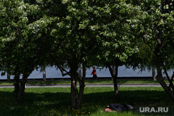 Пятьдесят четвертый день вынужденных выходных из-за ситуации с распространением коронавирусной инфекции CoVID-19. Екатеринбург, бомж, бездомный, тепло, лето, зеленый город, спит под деревом, теплая погода