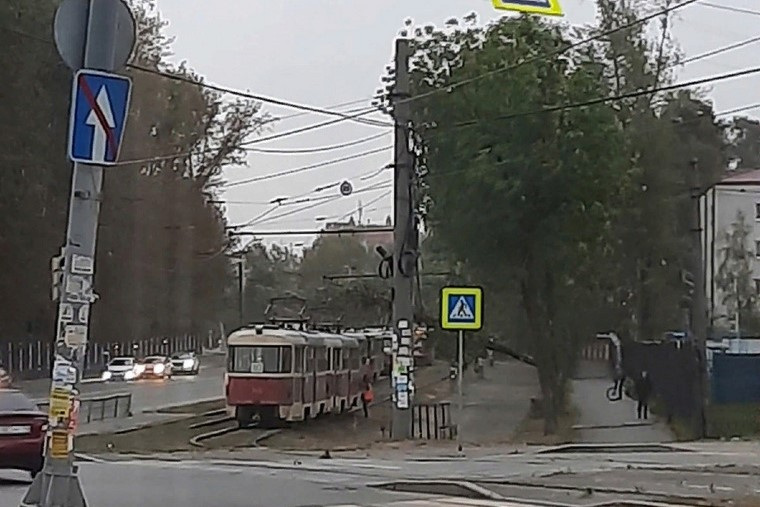 Между остановками «Расточная» и «Маневровая» упало дерево, из-за чего остановлено движение трамваев