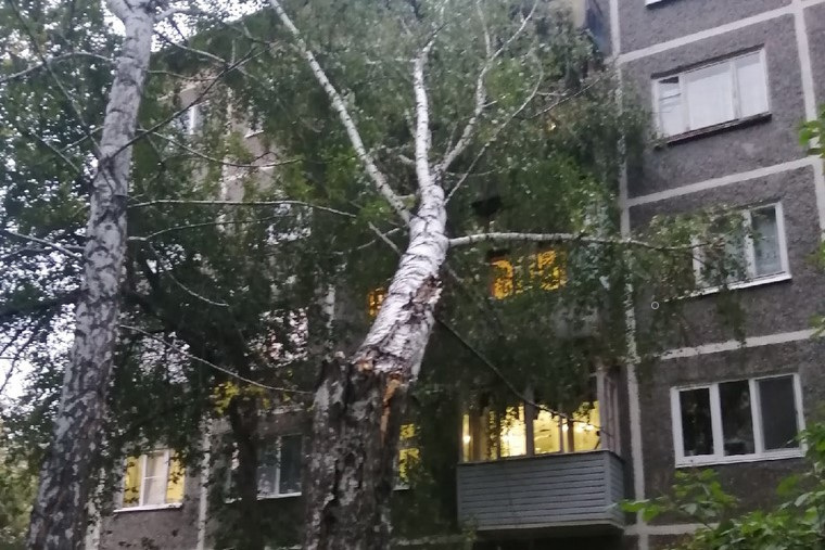 Во дворе на улице Авиационной дерево повалило прямо на пятиэтажку