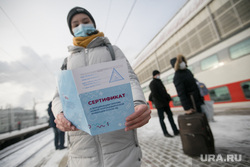 сертификат о вакцинации против новой коронавирусной инфекции covid - 19 (ковид-паспорт). Москва, вокзал, поезд, паспорт, справка, спутник, сертификат, вакцина, вакцинация, туризм, путешествие, коронавирус, ковид, спутник v, ковид19, ковид паспорт