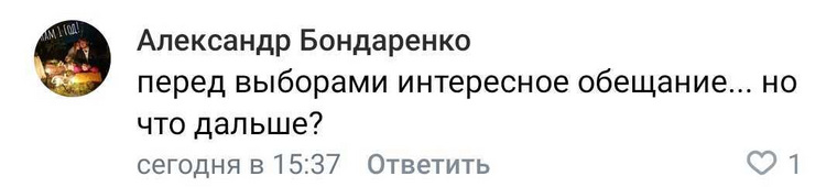 Кто-то из пользователей отмечает, что идея — лишь предвыборное обещание