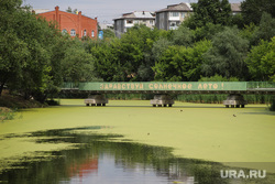 Реконструкция ЦПКиО. Курган, цпкио, лето, реконструкция, ремонт, битевка