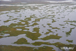 Природа Ямало-Ненецкого автономного округа, север, болото, тундра, арктика, ямал, природа ямала, вид сверху, осень, с квадрокоптера