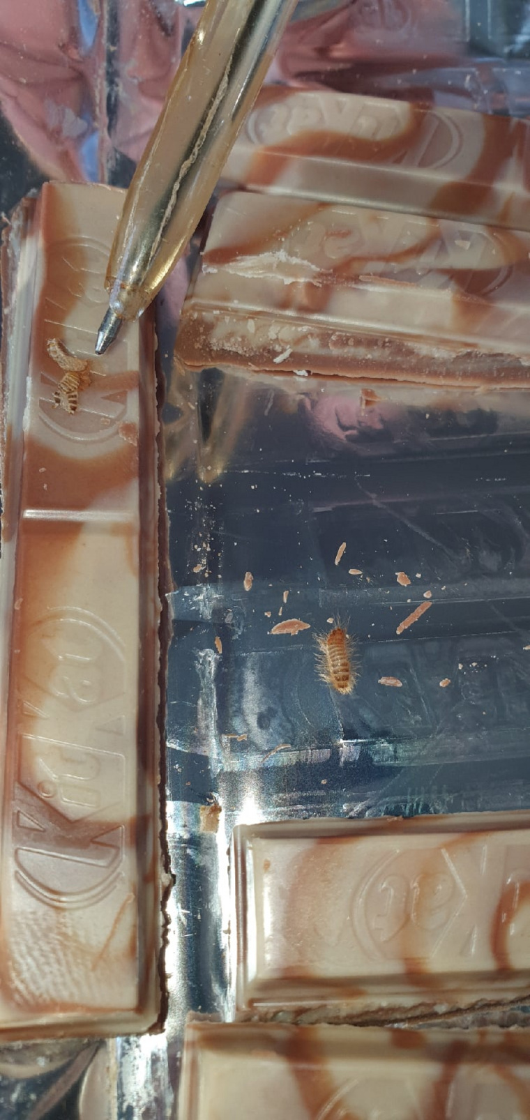 В упаковке, по словам пользователя, были найдены личинки и насекомое