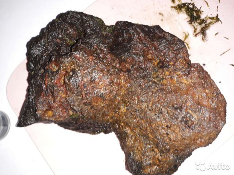 Метеорит имеет оплавленную поверхность