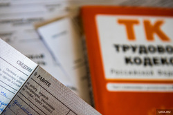 Сложность с оформлением пособий по безработицы может быть в ошибке базы данных полиции
