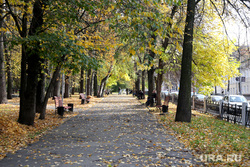 Осень жанровые фотографии Пермь, листва на тротуаре, осень