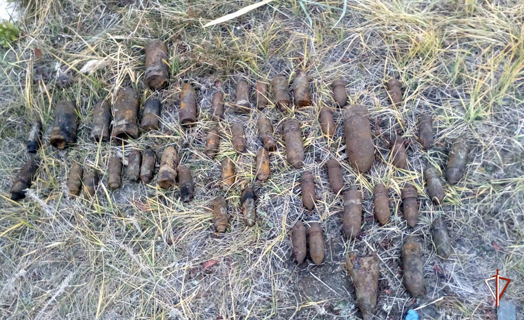 Местный житель нашел на берегу озера 47 артиллерийских снарядов