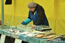 Некрасовский рынок.  Курган , рыба, продавец, рыбный отдел, некрасовский рынок