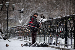 Снегопад в Екатеринбурге, снег, зима, снегопад, голуби
