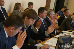 Заседание комитета по социальной ьюджету и финансам. Тюмень, поднятые руки, голосование