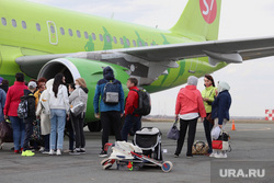 Первый рейс из Сочи. Курган, аэропорт, багаж, сумки, авиарейс, пассажиры, самолет, S7 Airlines