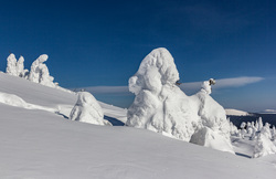 Природа Пермского края. Пермь, зима, деревья в снегу, северный урал, горы зимой, тулымский камень