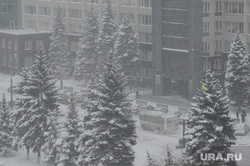 Снегопад. Челябинск, зима, снегопад, буран, метель, климат, погода