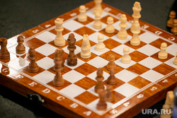 Шахматы. Тюмень, шахматисты, шахматы, шахматная доска, игра в шахматы