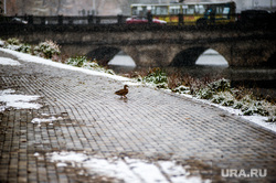 Снег в Екатеринбурге, снег, зима, екатеринбург , виды екатеринбурга