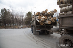 Вырубка парка на пересечении улиц Республики и Пермякова. Тюмень
, лесовоз, перевозка деревьев, грузовик с прицепом