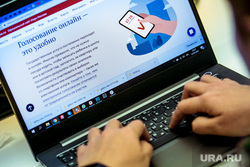 В Госдуме подготовили правила для онлайн-голосования на выборах