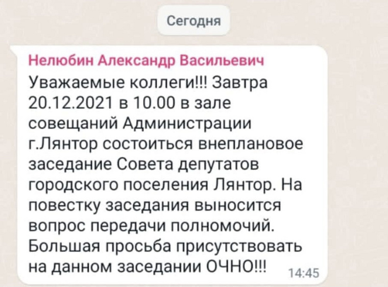 Скриншот сообщения спикера думы Лянтора Александра Нелюбина совету депутатов