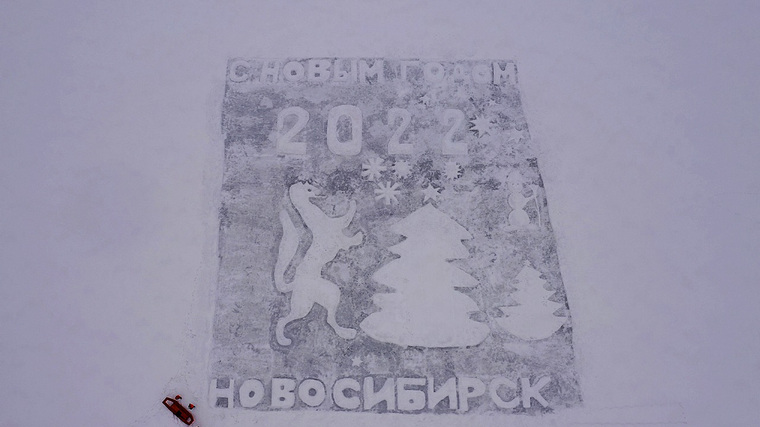 Соболя в окружении елок изобразили на льду жители Новосибирска