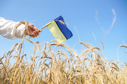 Клипарт depositphotos.com
, поле, флаг украины, украинский патриот
