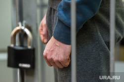 Суд по мере пресечения Горностаевой и Никанорову, заключенные, арест, подозреваемый, задержанный, под стражей