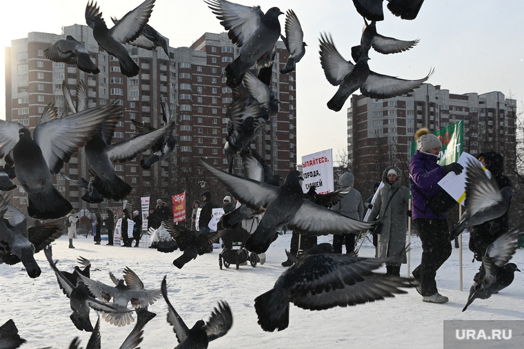 Пикет противников qr-кодов в парке Южный. Екатеринбург 