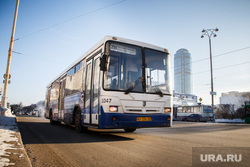 Общественный транспорт Екатеринбурга, автобус, общественный транспорт
