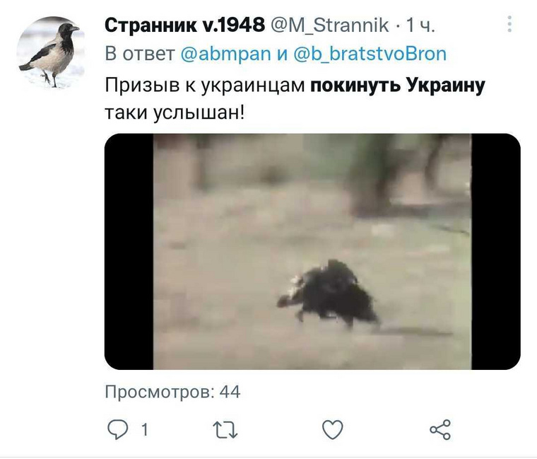 Шутка про украинцев, покидающих Украину, разошлась по всему Twitter