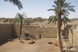 Египет, отдых туристов, пальмы, бассейн клеопатры, древний храм