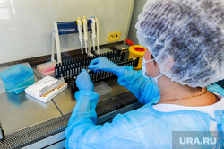 Дополнительная лаборатория для выявления коронавирусной инфекции в Челябинске на базе Областного центра по профилактике и борьбе со СПИДом. Челябинск, лаборатория, прием анализов, эпидемия, врачи, лаборатория, коронавирус