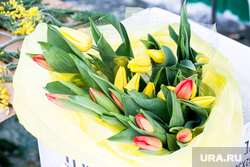 Пешеходы. Тюмень, тюльпаны, цветы, 8 марта