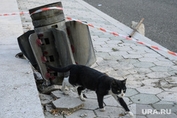 Город Шуши после обстрелов ВС Азербайджана. Нагорный Карабах, кот, неразорвавшийся снаряд, снаряд рсзо смерч, уличное животное