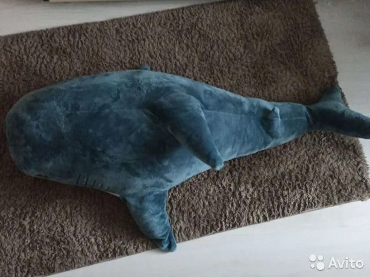 Такую новую акулу продают за миллион рублей