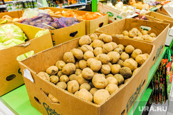 Роспотребнадзор проверяет детский сад и магазин на соблюдение противоковидных мер. Челябинск, овощи, картофель, фрукты, супермаркет, пятерочка, картошка, магазин, продукты питания