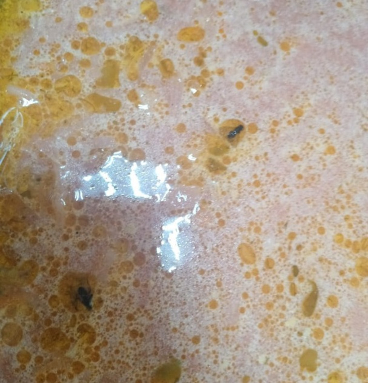 Фото мух в супе