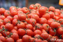 Магазин Метрополис. Курган , торговля, продукты, помидоры, томат, опт, розница, оптовая