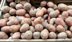 Сетевые продуктовые магазины. Челябинск, магнит, картошка