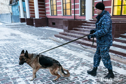 В России началась новая волна сообщений о минированиях в школах