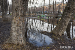 Лужи в парке на пересечении Бажова - Малышева. Екатеринбург , деревья, лужи, парк