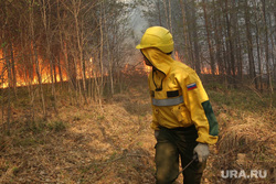 Рейд по лесным пожарам. Тюмень, огонь, лес горит, лесной пожар, лесные пожары, тушение лесных пожаров