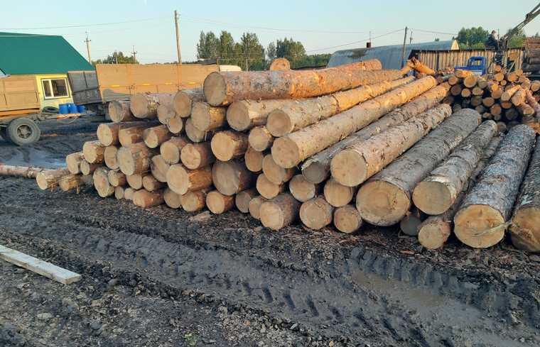 Предприниматель вывозили лес в Казахстан с 2018 по 2020 годы