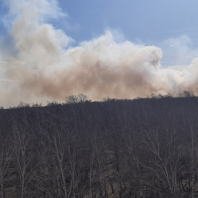 Дым от пожара возле поселка Ново-Казанцево