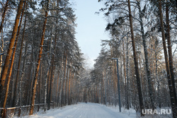 Озеро Шарташ зимой. Екатеринбург, зимний лес