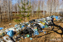 Министерство экологии провело рейд по территориям баз отдыха и туристических зон. Челябинск, мусор, свалка