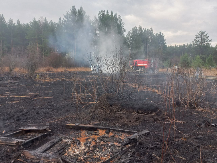 Огонь угрожает лесу и домам