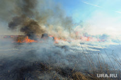 Учения МЧС по тушению лесных пожаров и сельскохозяйственных палов. Челябинск, дым, пожар, пожар в поле, горит трава, огонь