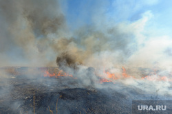 Учения МЧС по тушению лесных пожаров и сельскохозяйственных палов. Челябинск, дым, пожар в поле, горит трава, огонь